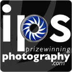 Institute in Photographic Studies