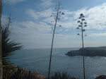 Cala de la Higuera en Torrevieja