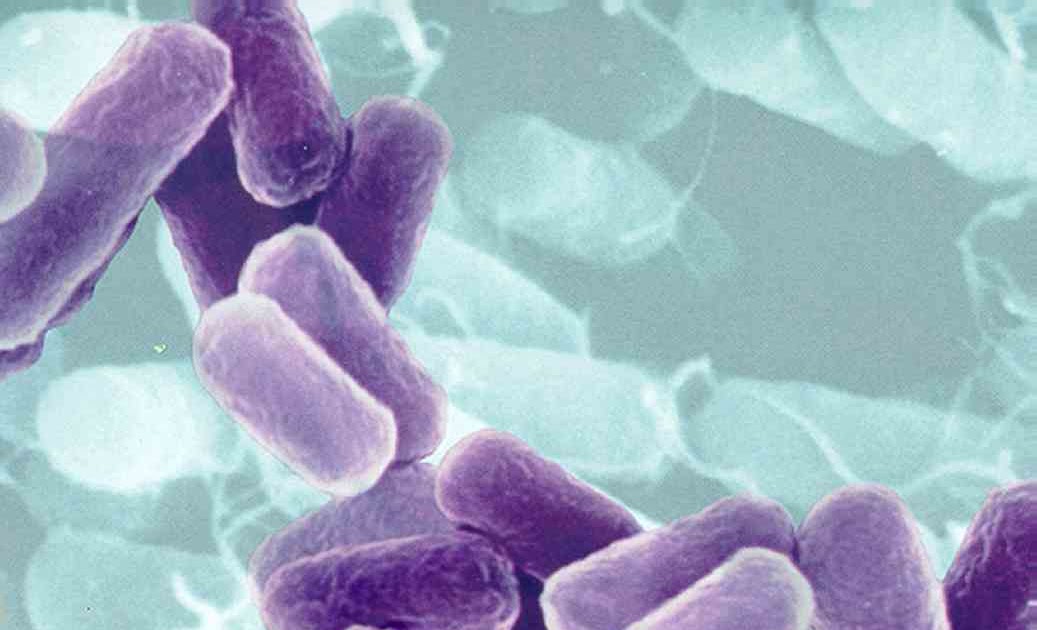 Science Wonders !! Is Rain is Produced through Bacteria