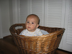 Please don't put me in the washing machine mommy