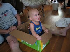 Who knew a box could offer such entertainment