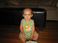 Lions and Tigers and Bears Oh My