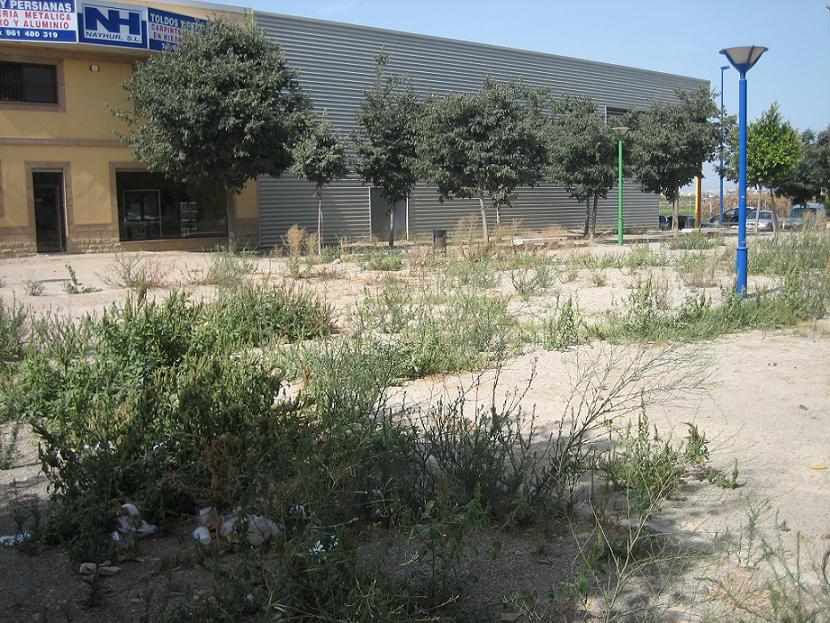 [JardíPolígon1270709.JPG]