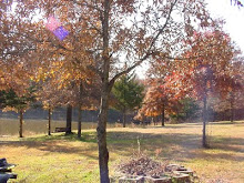 Beautiful Fall.  Can you smell the wood smoke?