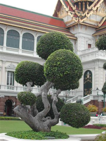 [Chakri+Maha+Prasat+(Small).JPG]