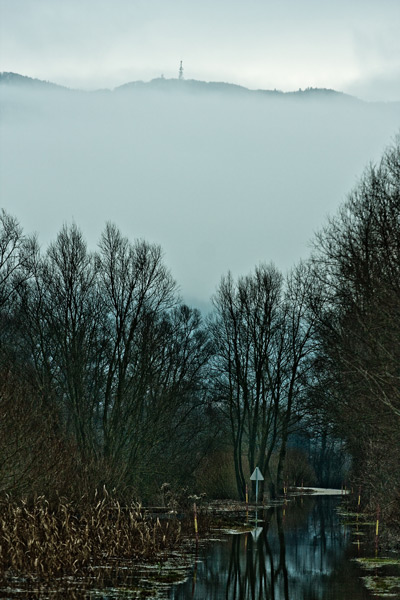 [IMG_3495_web.jpg]