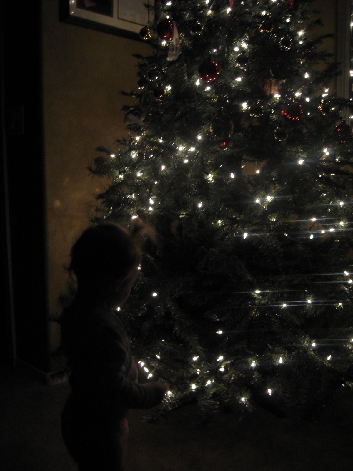 [Christmas+lights2.BMP]