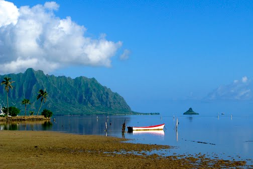 Kahaluu Oahu