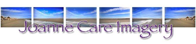 Joanne Care Imagery