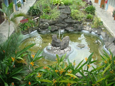 Kolam ikan