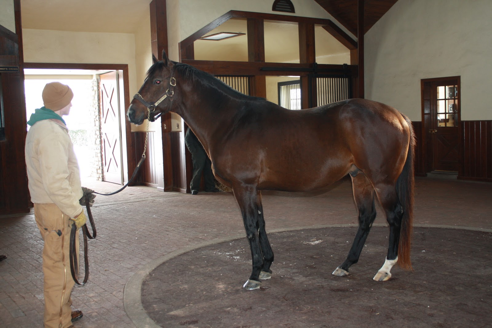 Home Is Where The Hart Is 20110123