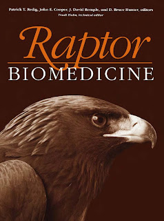 Raptor biomedice Raptor+biomedice_P%C3%A1gina_001