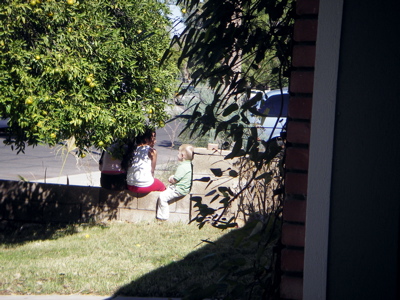 [Library+-+0001.jpg]