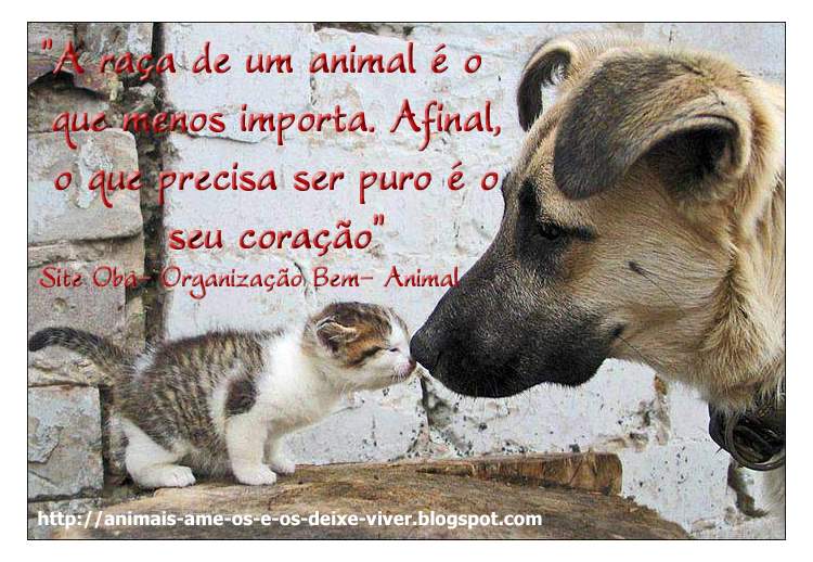 Anel de namoro bijuteria Anel de namoro bijuteria