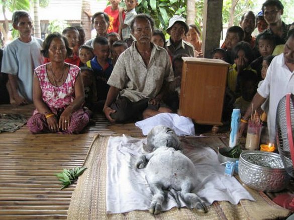Mahluk Aneh Ditemukan Di Pedalaman Hutan Thailand [ www.BlogApaAja.com ]