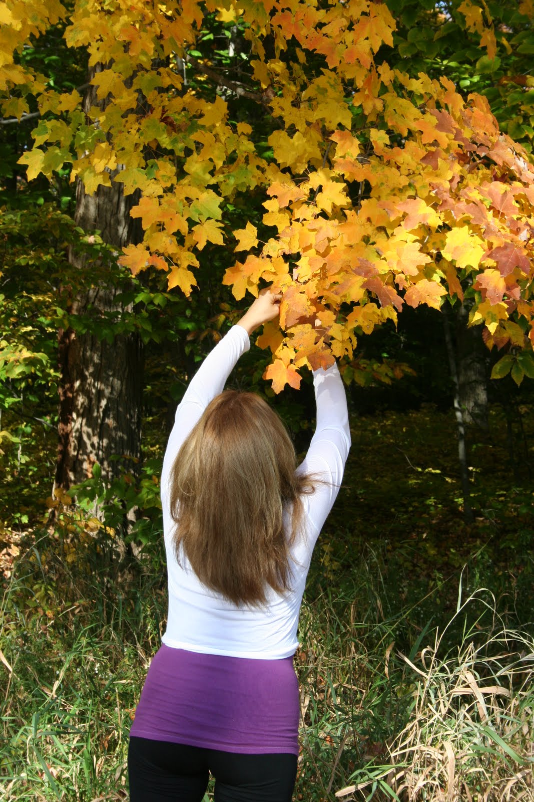 Using blower to blow leaves off trees Lawn Care Forum