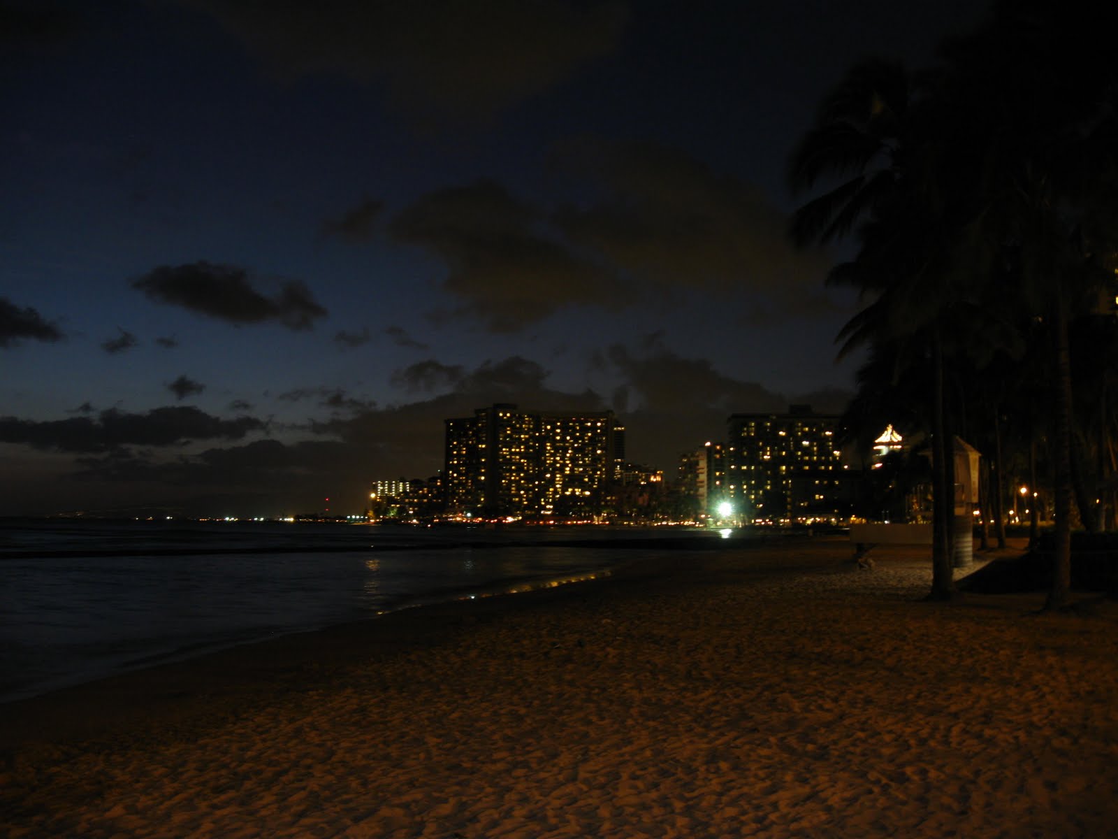 hawaii fish eye The Night Lights of Waikiki Beach