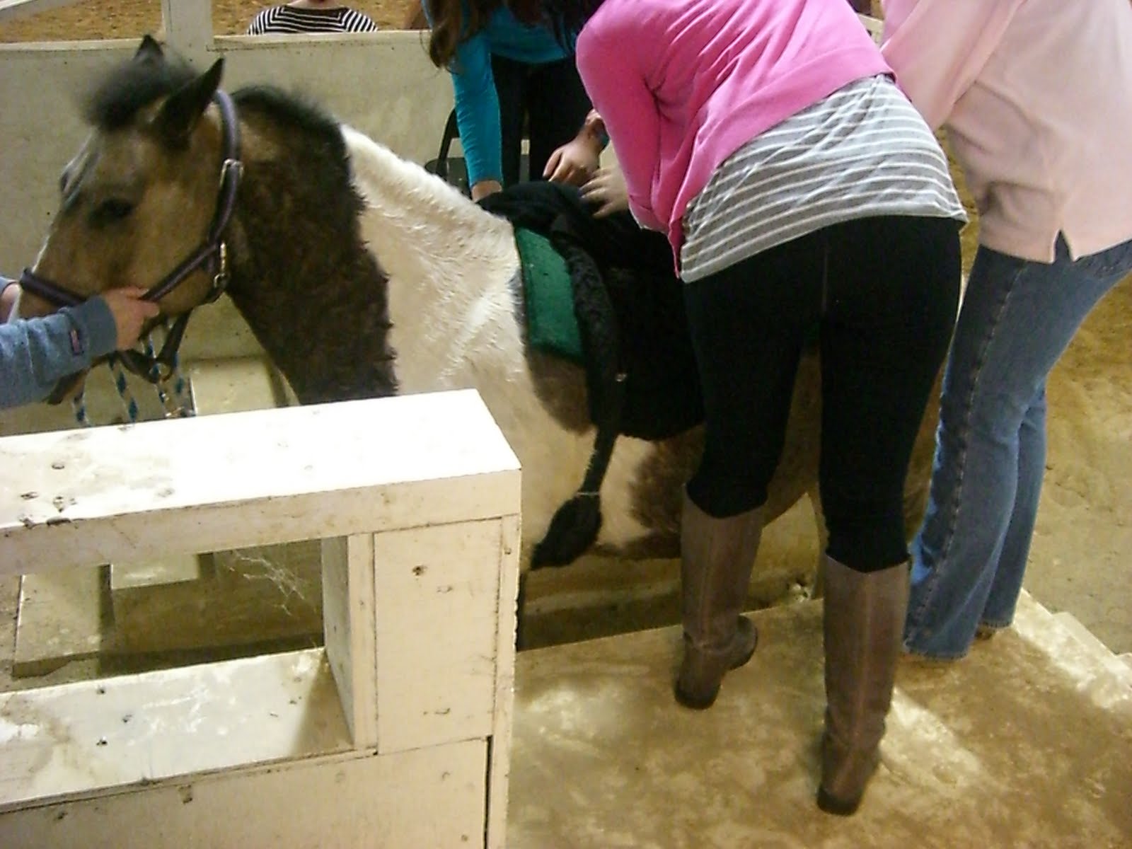 Master of Occupational Therapy My Student Blog HIppotherapy
