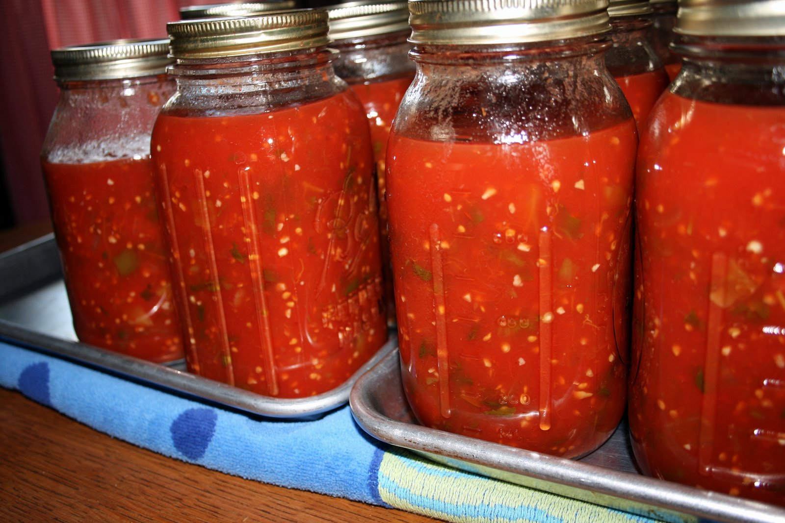 Centennial Farmhouse Kitchen Summer in a Jar Can Your Own Salsa!