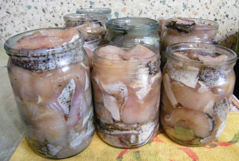 ���������������� ��� � �������� ��������