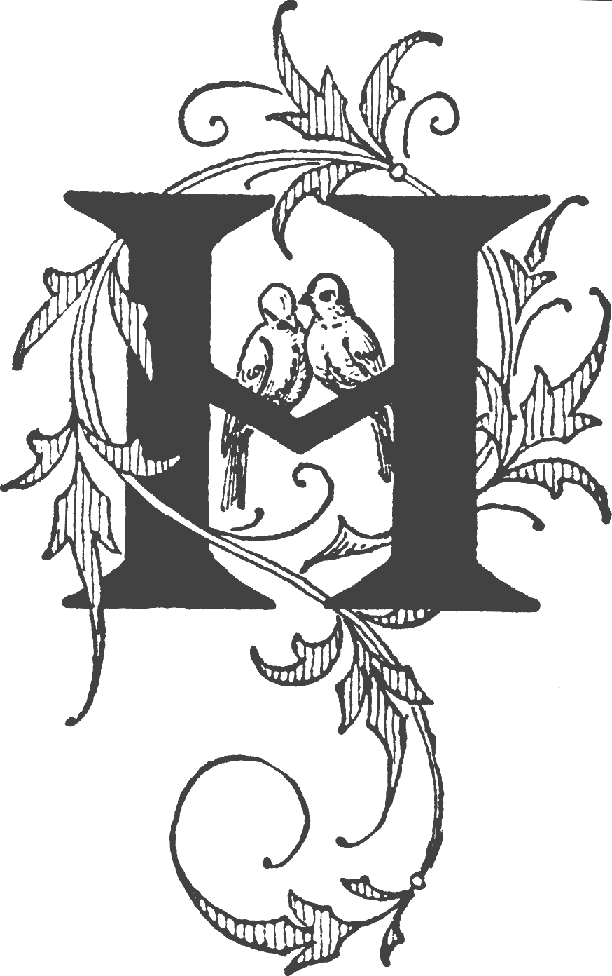 letter h