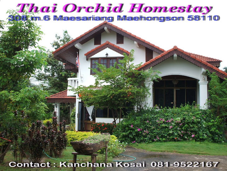 thai orchid homestay