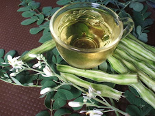 ชามะรุม moringa tea