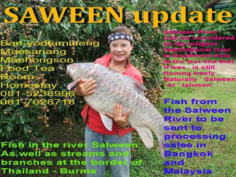 salween update