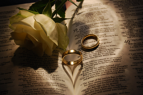 rings 2016