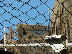 Toilet role and watchtower over Hebron's old market