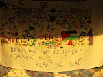 Peace mural at tent of nations