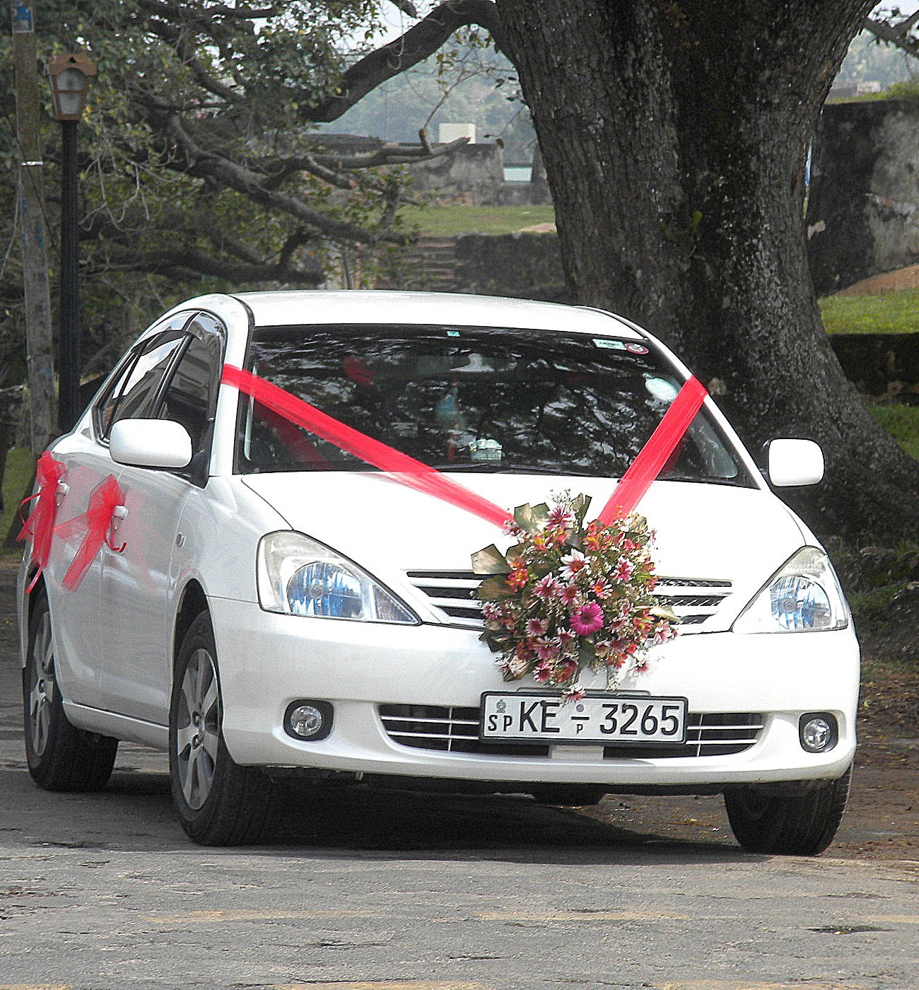 Wedding Decorations For Cars Decoration Today