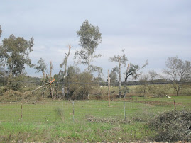 TORNADO POR VILLARREAL