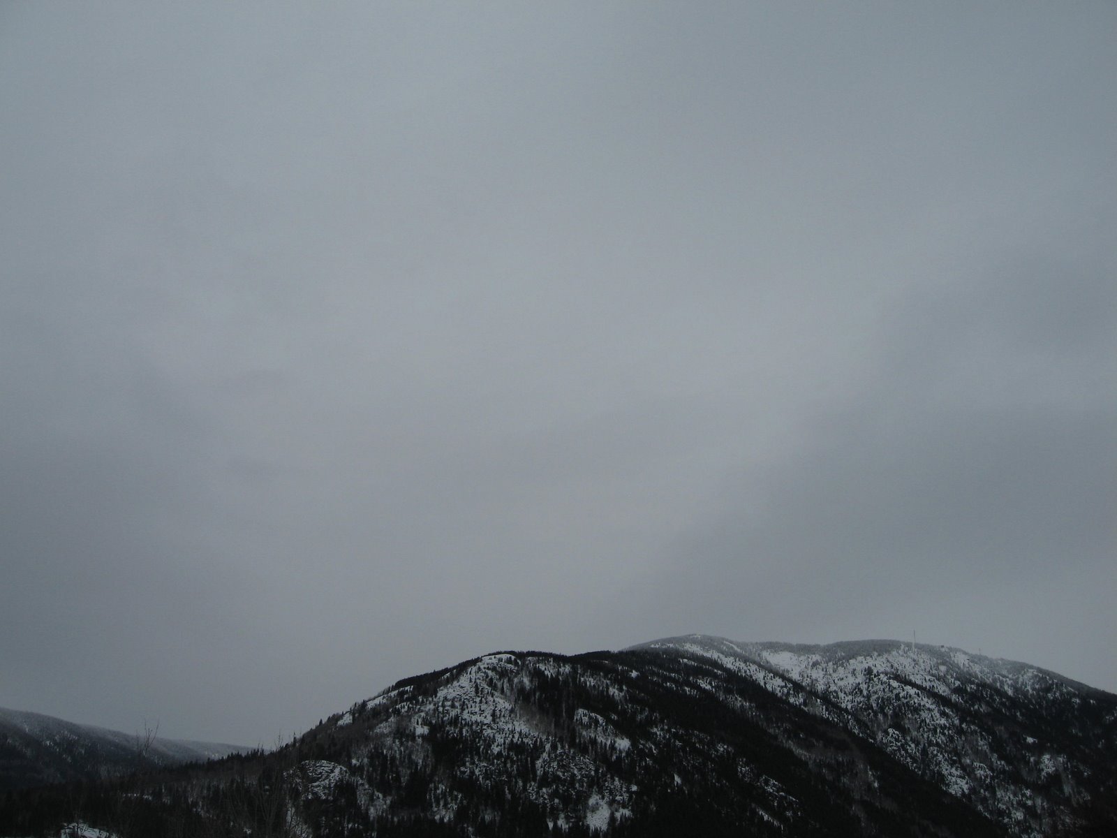 [IMG_5502[1]]