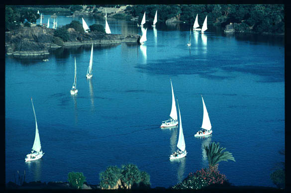 صور نهر النيل في مصر The%2520Nile%2520-%2520Aswan,%2520Egypt