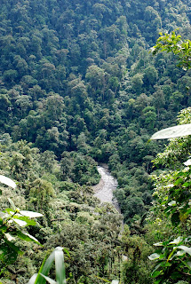 Rio Pachijal
