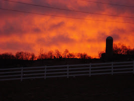 Sunrise at the farm