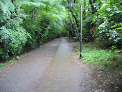 Japanese Bike Path