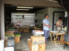 Fruit and Veggie Market