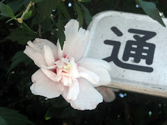 Japanese flowers and words
