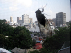 Locusts take over Yokohama