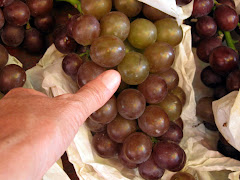 These are some BIG grapes
