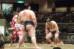 No weight restrictions in SUMO