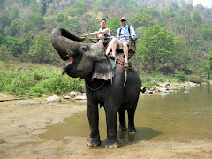 Elephant Trek in Chiang Mai