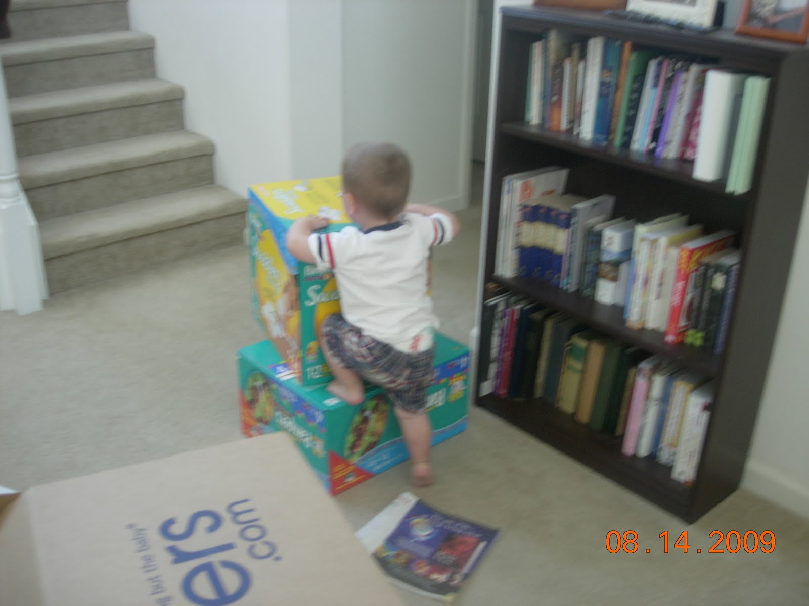 [DSCN3466.JPG]