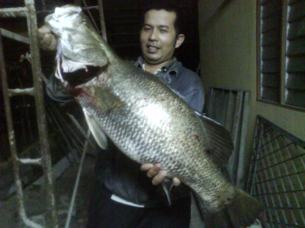 Gewang Siakap