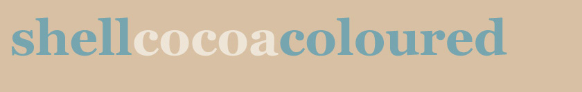 shellcocoacoloured