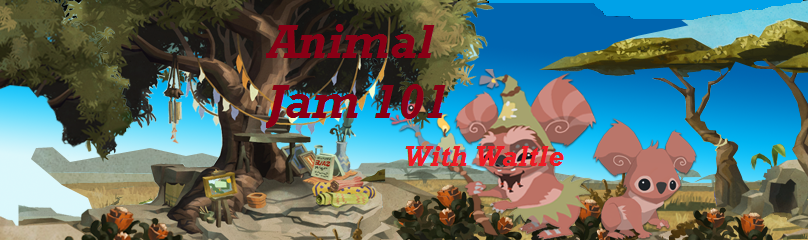 Animal Jam 101