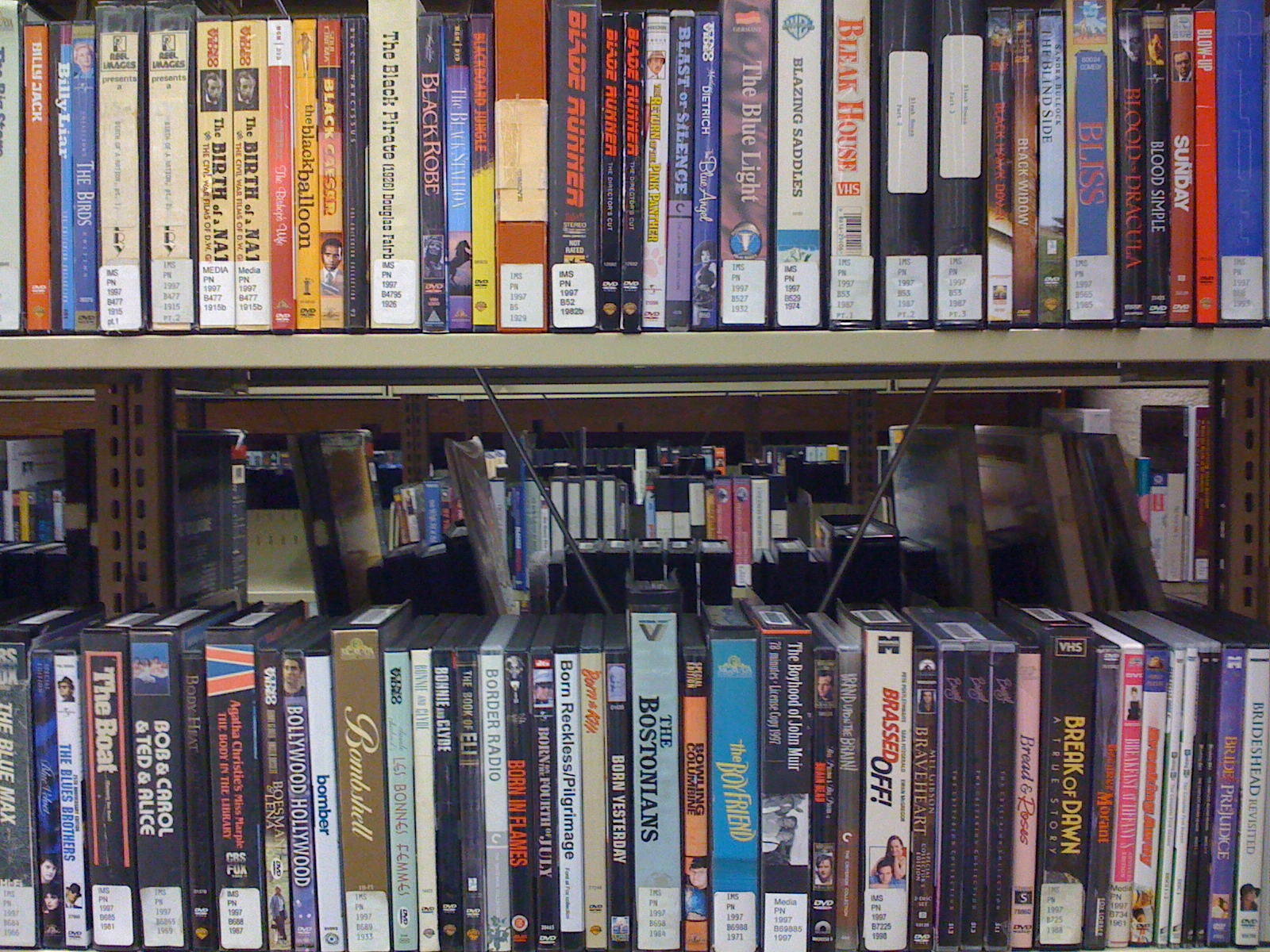 Trinity University Film Fanatics Cinephile Treasure Coates Library DVD Collection