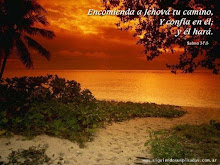 OTRO FONDO BUENO